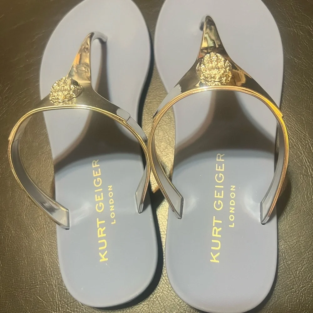 Kurt Geiger London Maddison T-Bar Metallic Silver and Blue Sandals Size 6 NEW - Picture 8 of 14